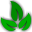 植物(herba)要素