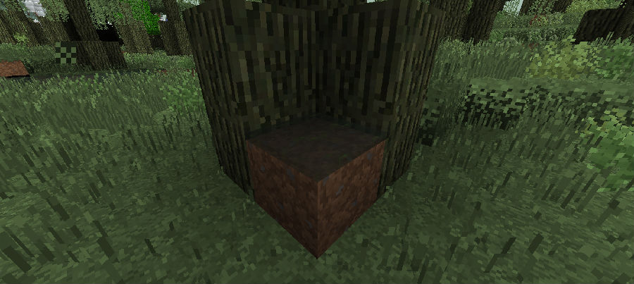 泥潭 (Puddle) - [BOP]超多生物群系 (Biomes O' Plenty) - MC百科|最大的Minecraft中文MOD百科