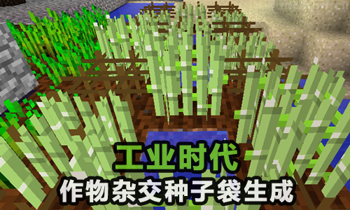 命令方块指令生成器 实用工具 Mc百科 最大的minecraft中文mod百科